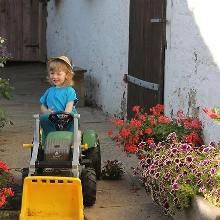 Дом отдыха Familienferienhof Kroner Цвизель
